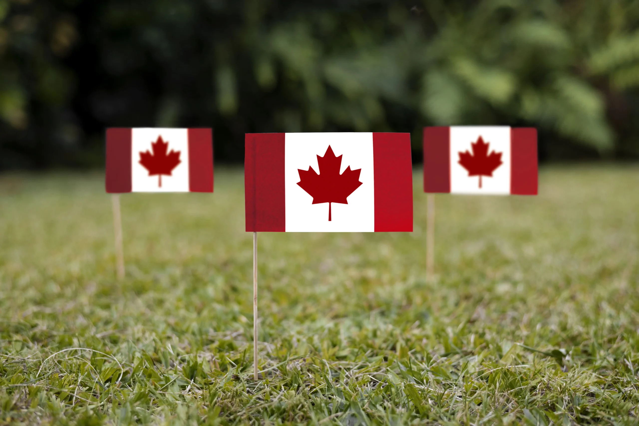 Jobs in Canada With Free Visa Sponsorship